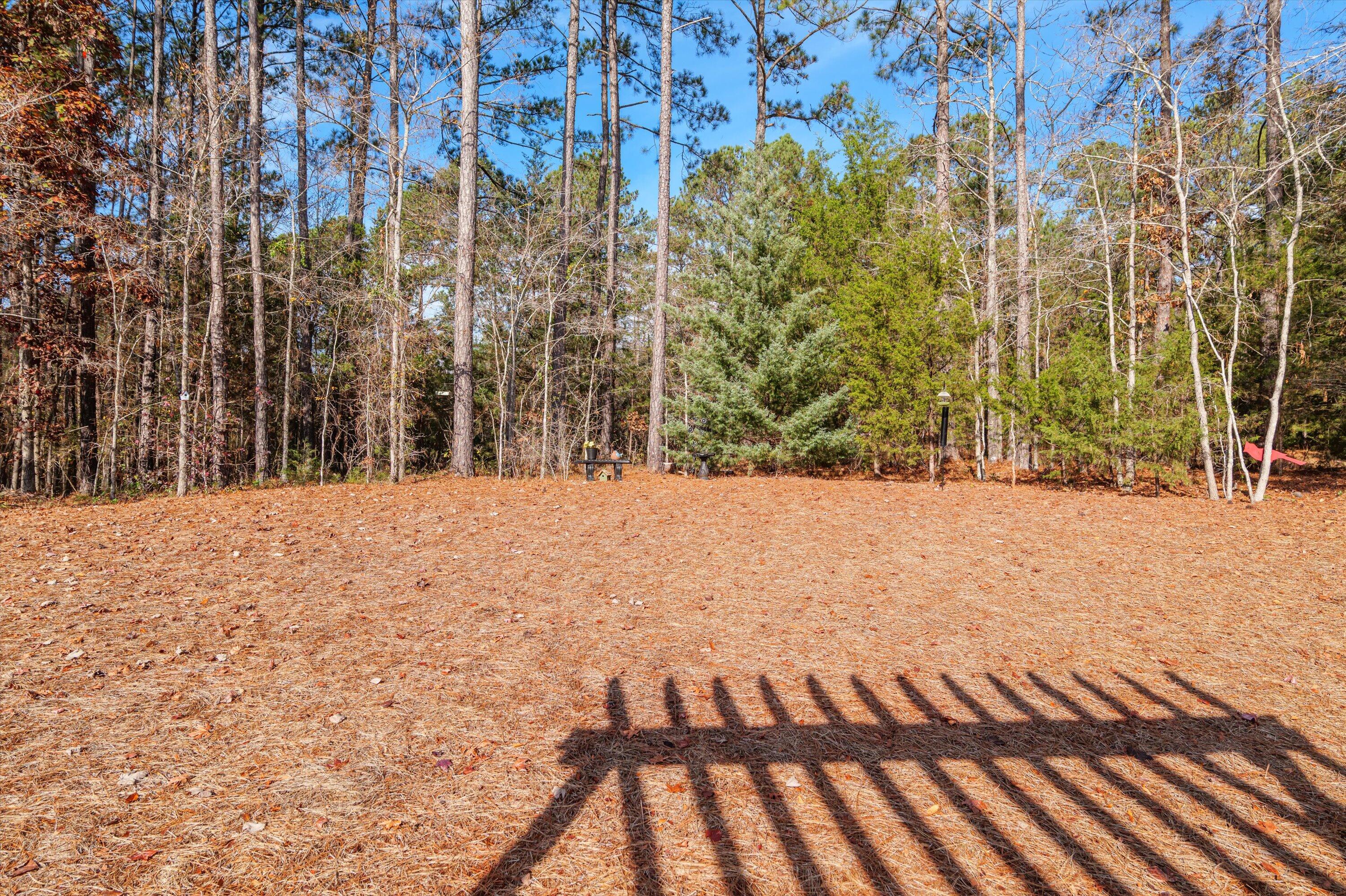 214 Sunflower Circle McCormick, SC 29835 - Photo 45 of 54 45-P1482421