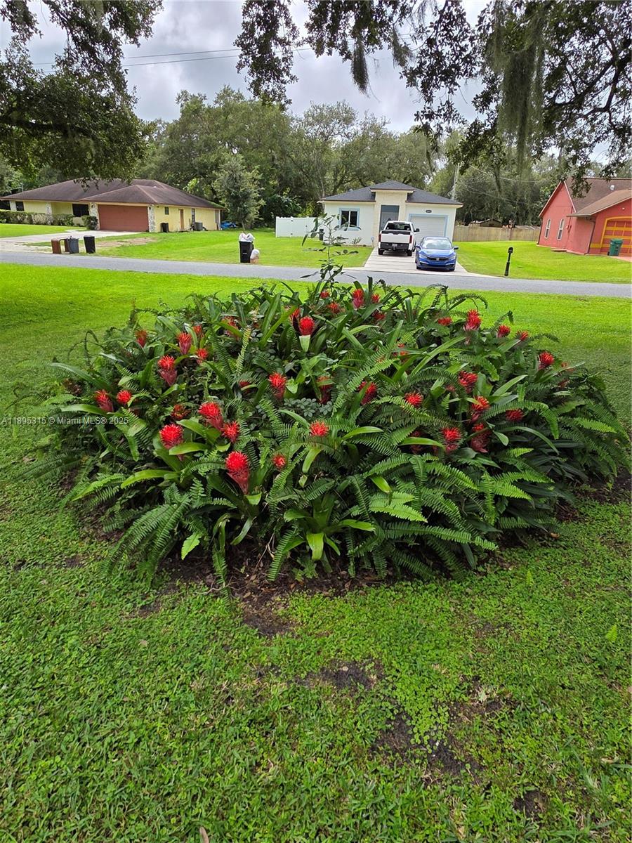 4802 Matanzas Avenue Fort Pierce, FL 34946 - Photo 25 of 28 a view of a house with a big yard and potted plants