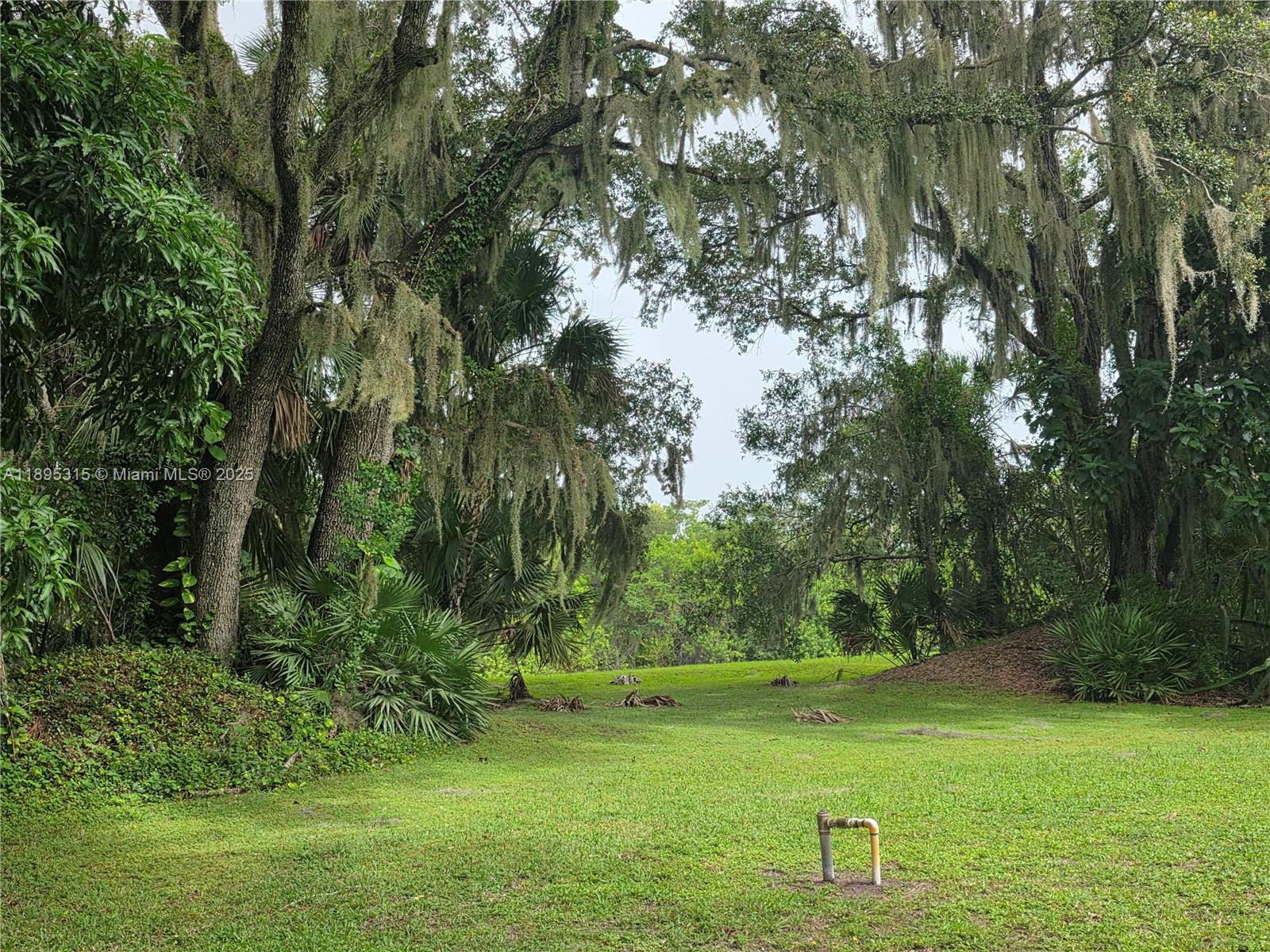 4802 Matanzas Avenue Fort Pierce, FL 34946 - Photo 27 of 28 a view of a grassy field