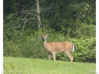 Par B Par B Birch Run Road Millington, MI 48746 - Photo 1 of 1