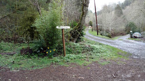 Vl East Beaver Creek Road Beaver, OR 97112 - Photo 2 of 5 IMG_20160308_145401575