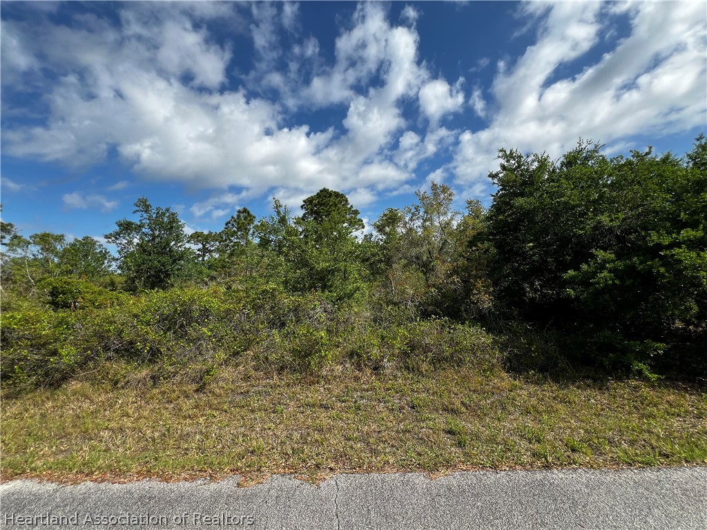 3523 Breakneck Road Lake Placid, FL 33852 - Photo 2 of 7 Gallery Image 2