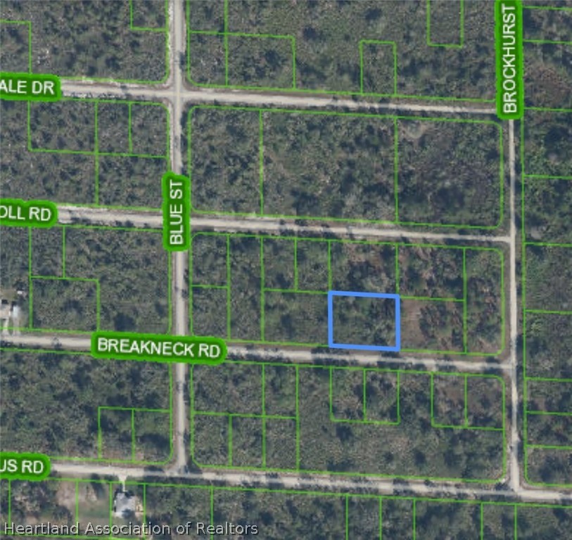 3523 Breakneck Road Lake Placid, FL 33852 - Photo 3 of 7 Gallery Image 3