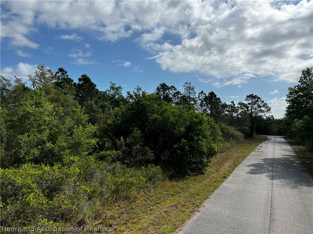 3523 Breakneck Road Lake Placid, FL 33852 - Photo 4 of 7 Gallery Image 4