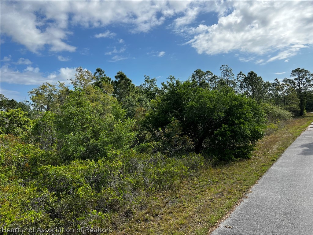 3523 Breakneck Road Lake Placid, FL 33852 - Photo 5 of 7 Gallery Image 5