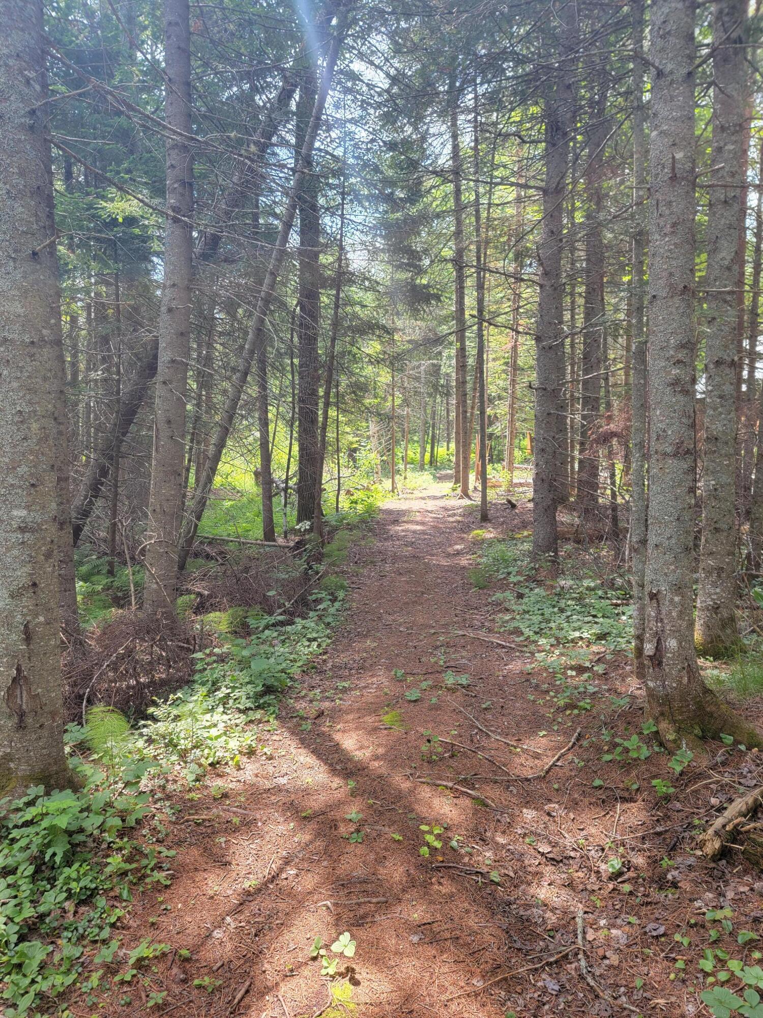Tbd Nubble Way Stratton, ME 04982 - Photo 3 of 21 2