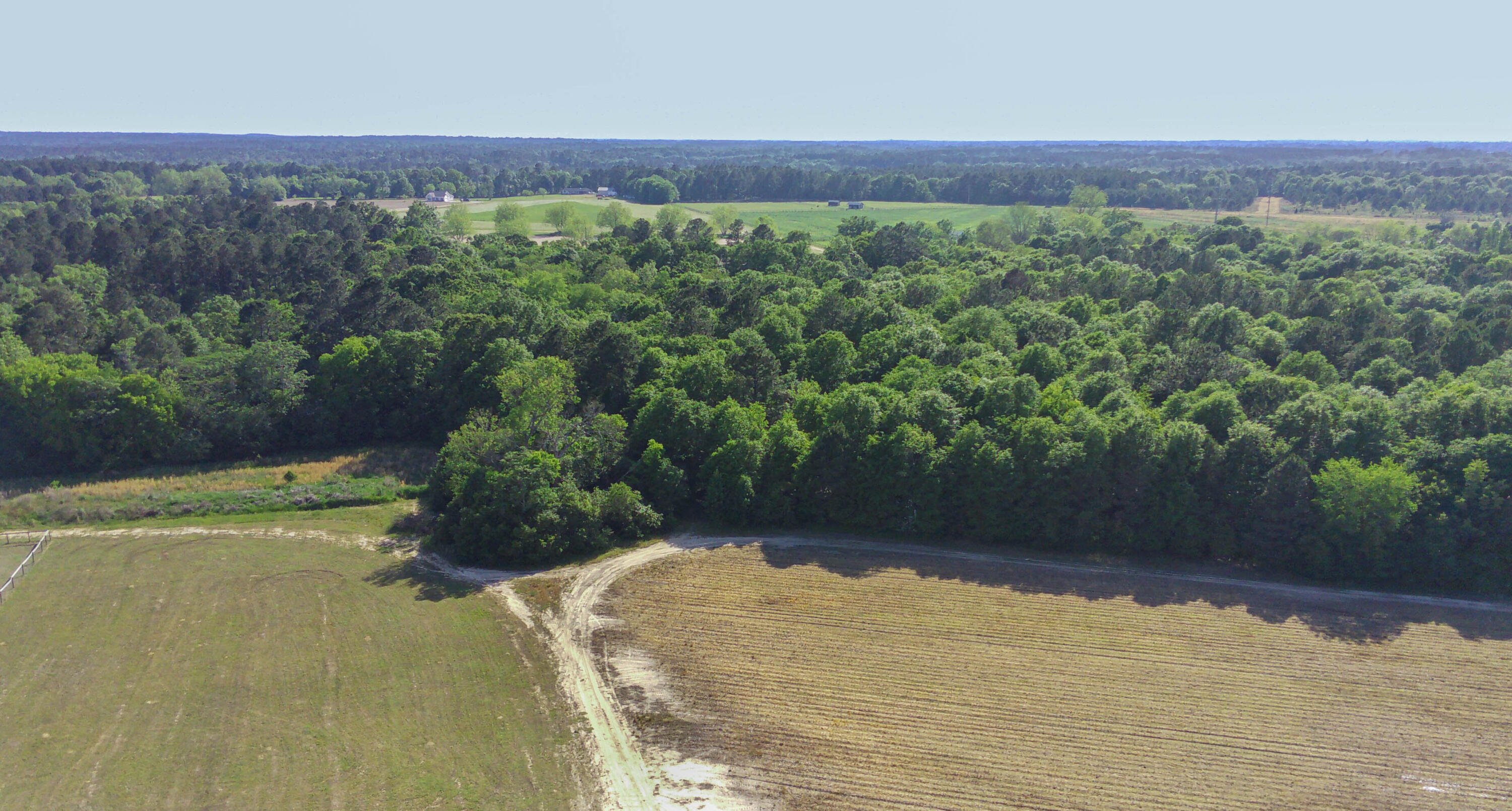 1214 Toolebeck Road Aiken, SC 29803 - Photo 9 of 17