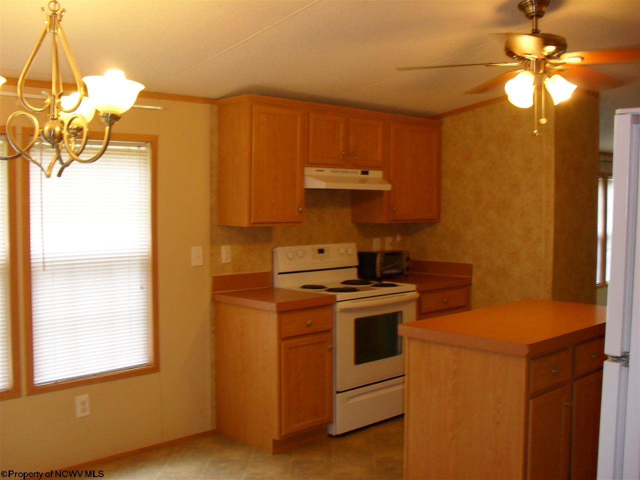 703 Thomas Fork Road Mannington, WV 26582 - Photo 9 of 20 Gallery Image 9