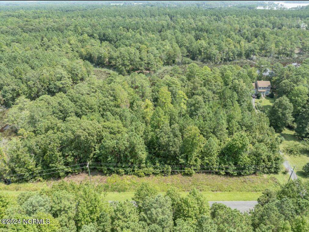 0 Pinecrest Road Bath, NC 27808 - Photo 6 of 16 06