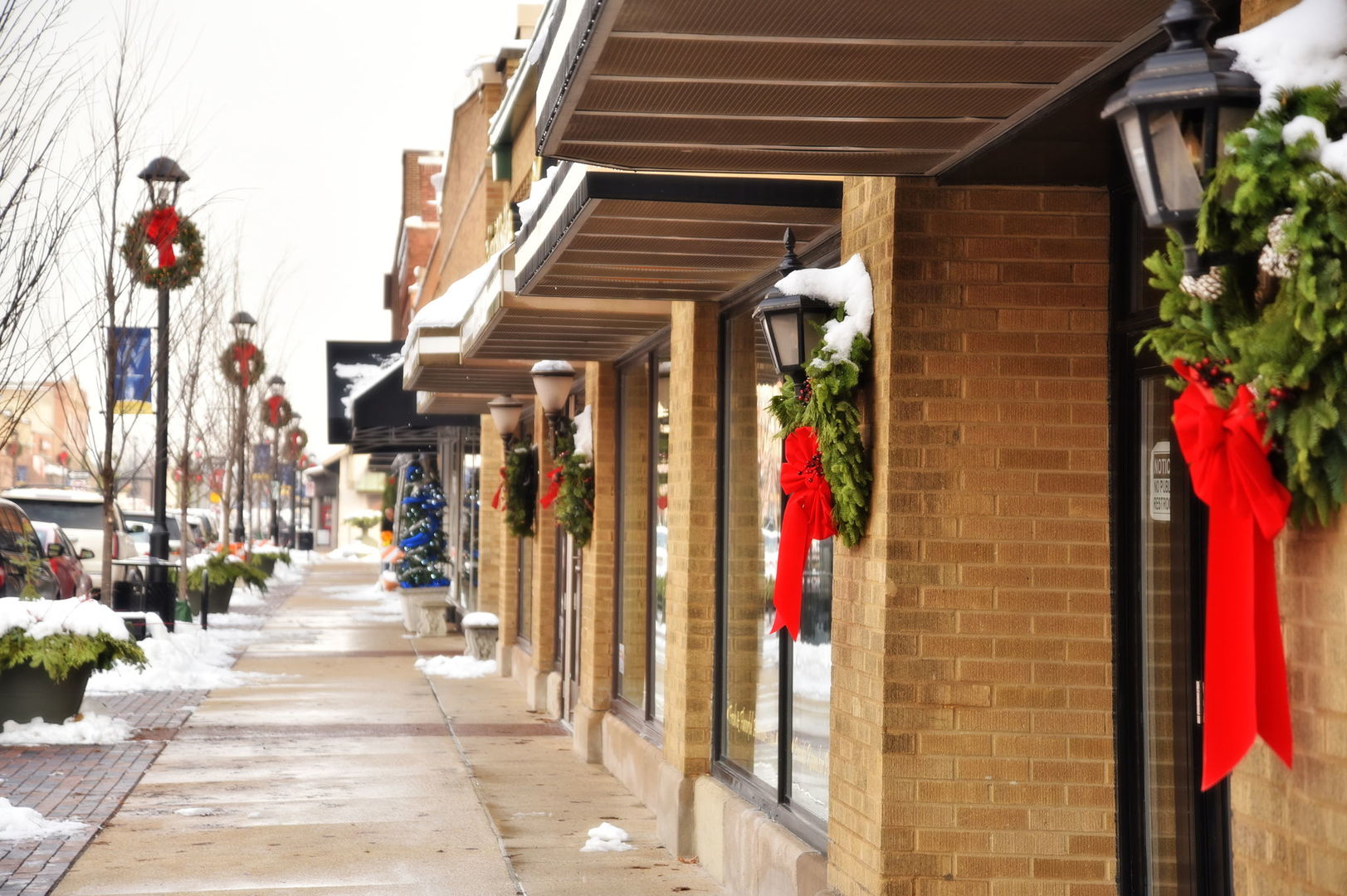 24 Winners Cup Circle Wheaton, IL 60189 - Photo 45 of 46 a view of path along with building