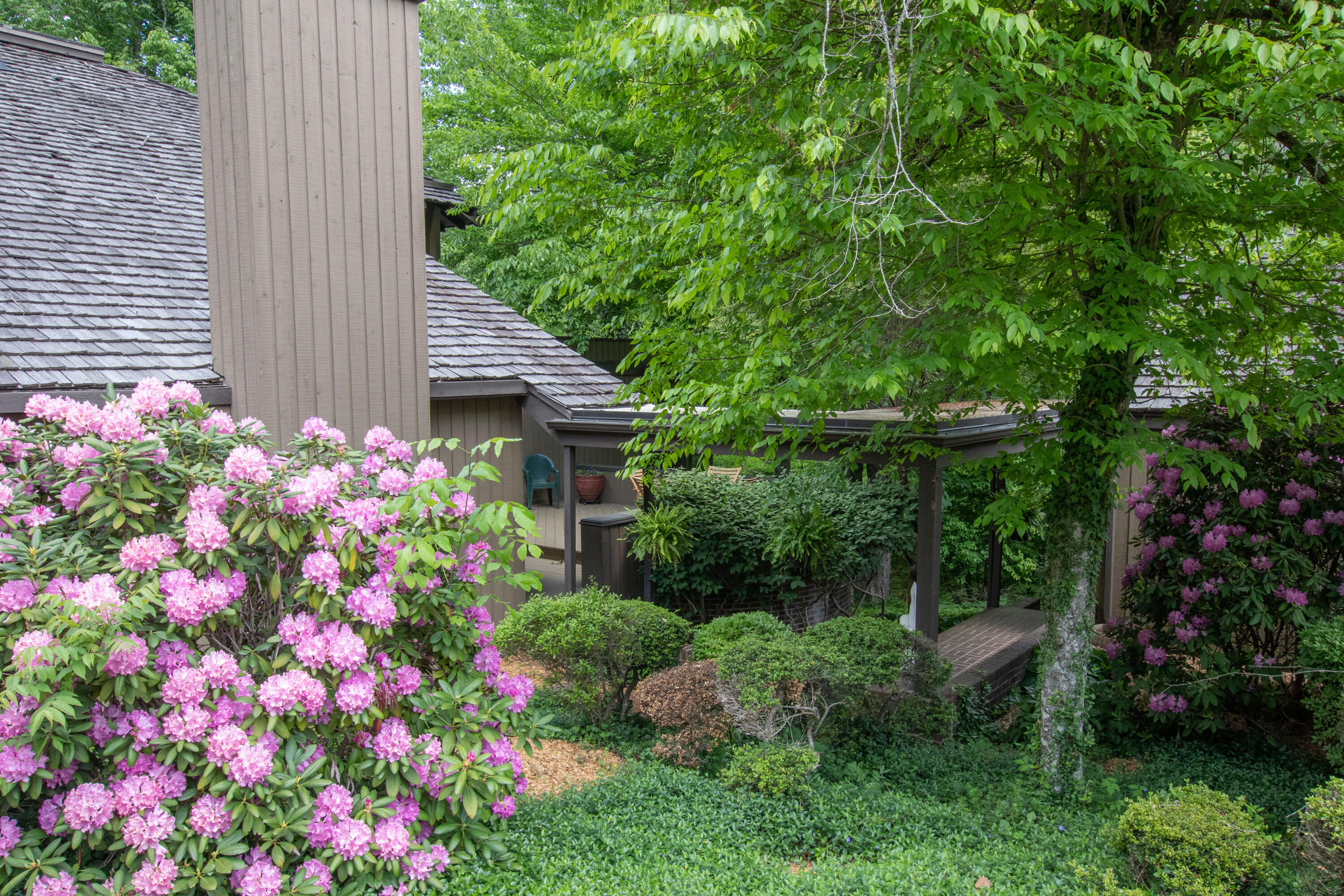 6 Deer Lick Road Bristol, TN 37620 - Photo 63 of 84 Deerlick-22