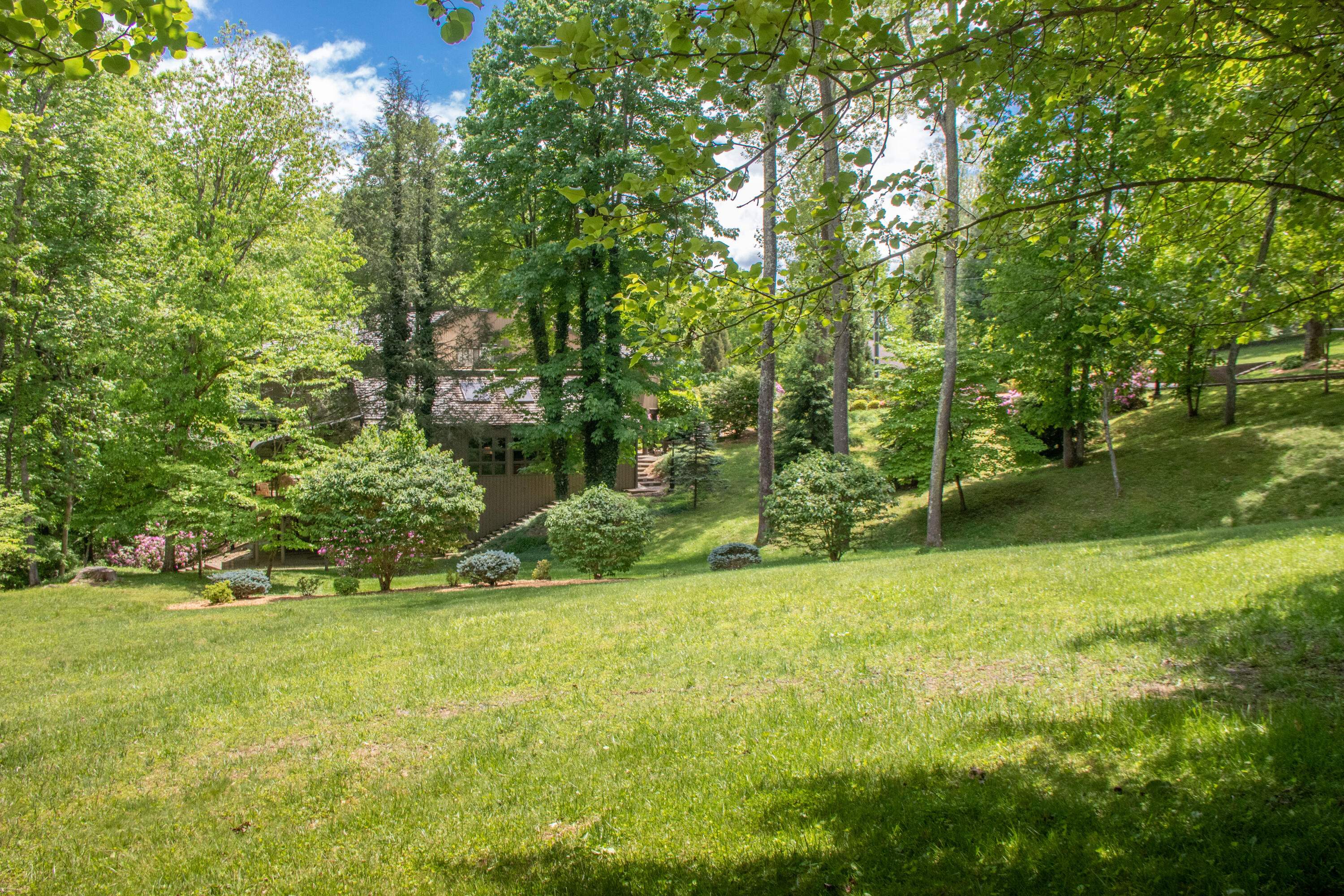 6 Deer Lick Road Bristol, TN 37620 - Photo 76 of 84 Deerlick-10