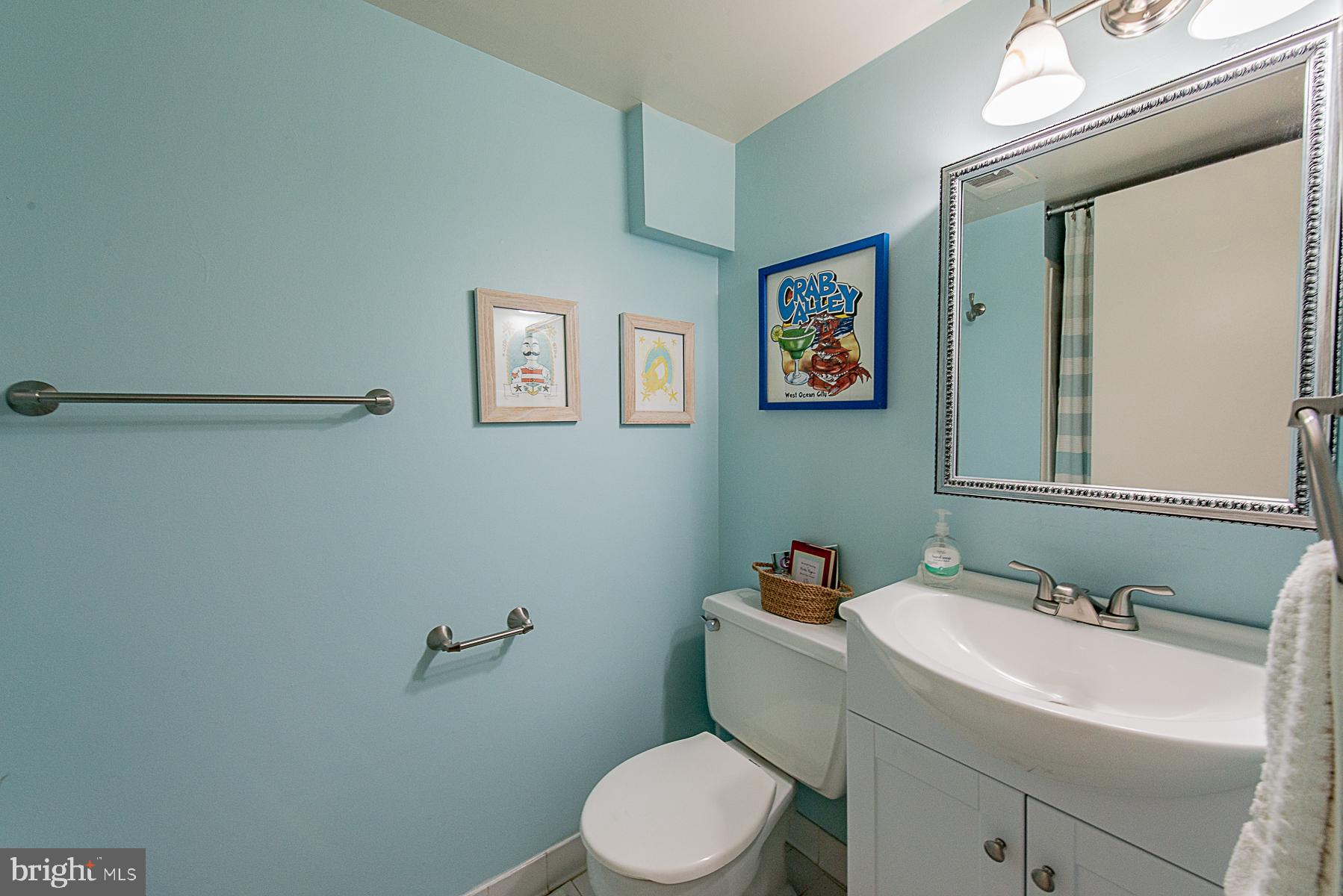 9623 Rocksparkle Row Columbia, MD 21045 - Photo 14 of 20 2nd Full Bath with New Vanity & Mirror