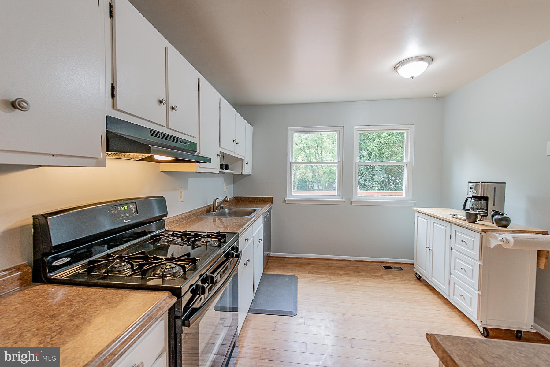 9623 Rocksparkle Row Columbia, MD 21045 - Photo 5 of 20 Kitchen Has Been Freshly Painted