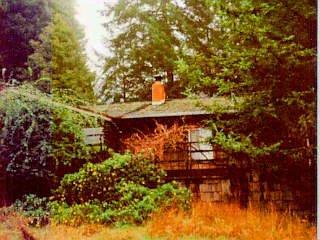 Occidental Road Occidental, CA 95472 - Photo 1 of 1 a view of a backyard