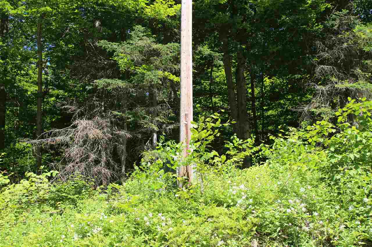 8480 Granby Road Granby, VT 05840 - Photo 22 of 23