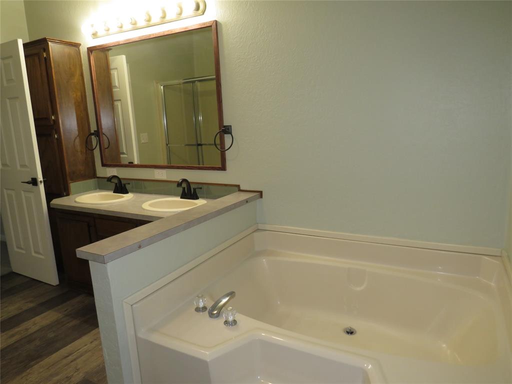 2151 Crockett Road Sanger, TX 76266 - Photo 28 of 30 a bathroom with a sink and a mirror