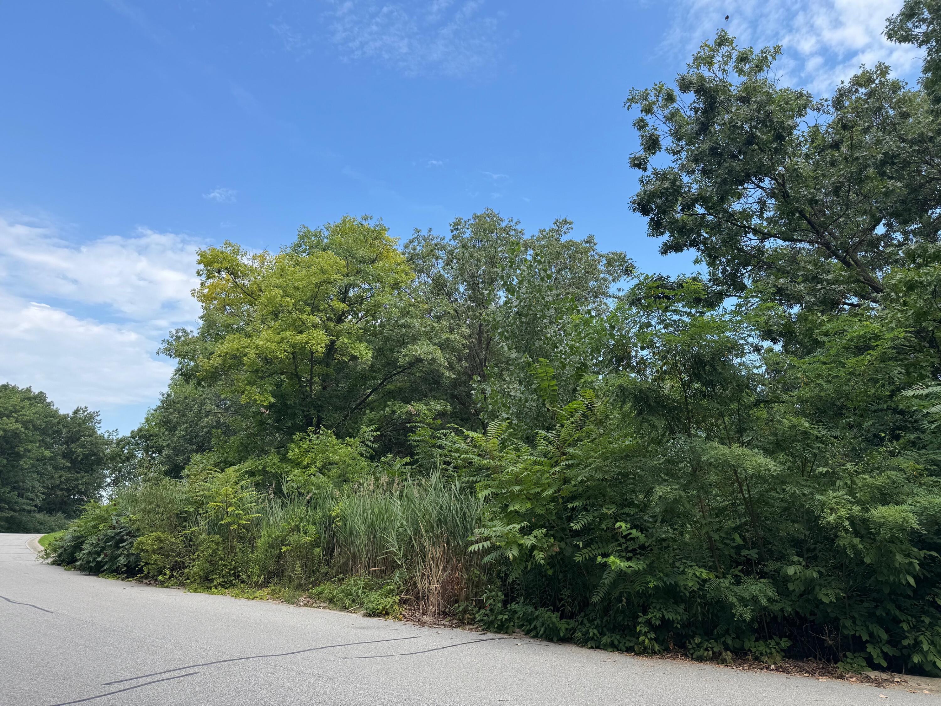 a view of a green field