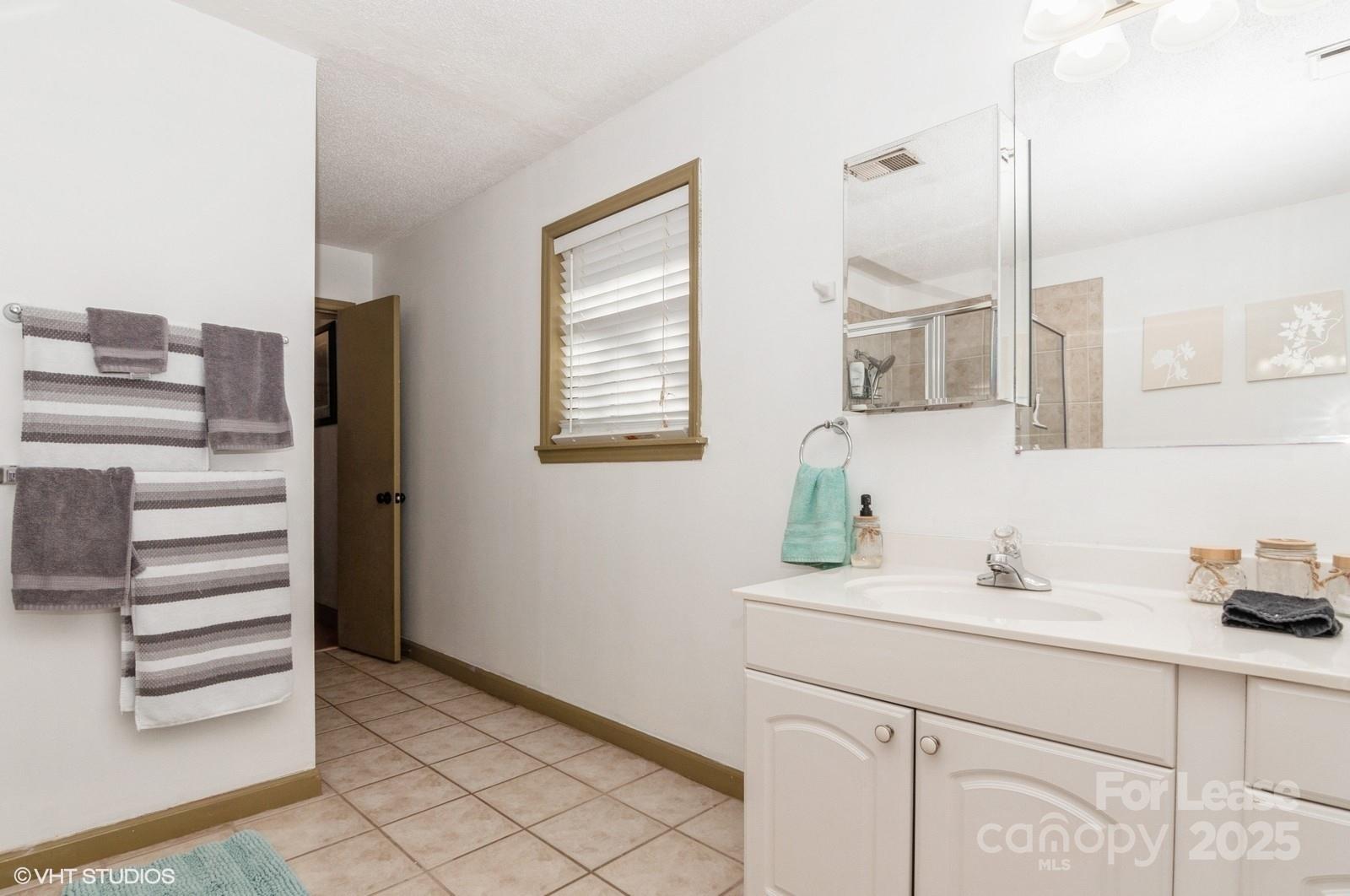 9938 Sandra Lane Fort Mill, SC 29707 - Photo 20 of 36 a bathroom with a sink and a mirror