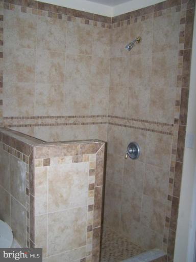 8144 Clark Road Denton, MD 21629 - Photo 8 of 16 Master Bath #2