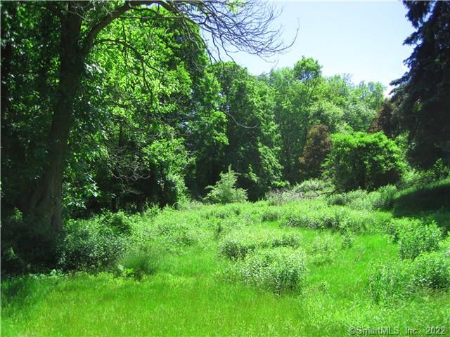 17.28 acres! Possible builder subdivide or Perfect private homesite!