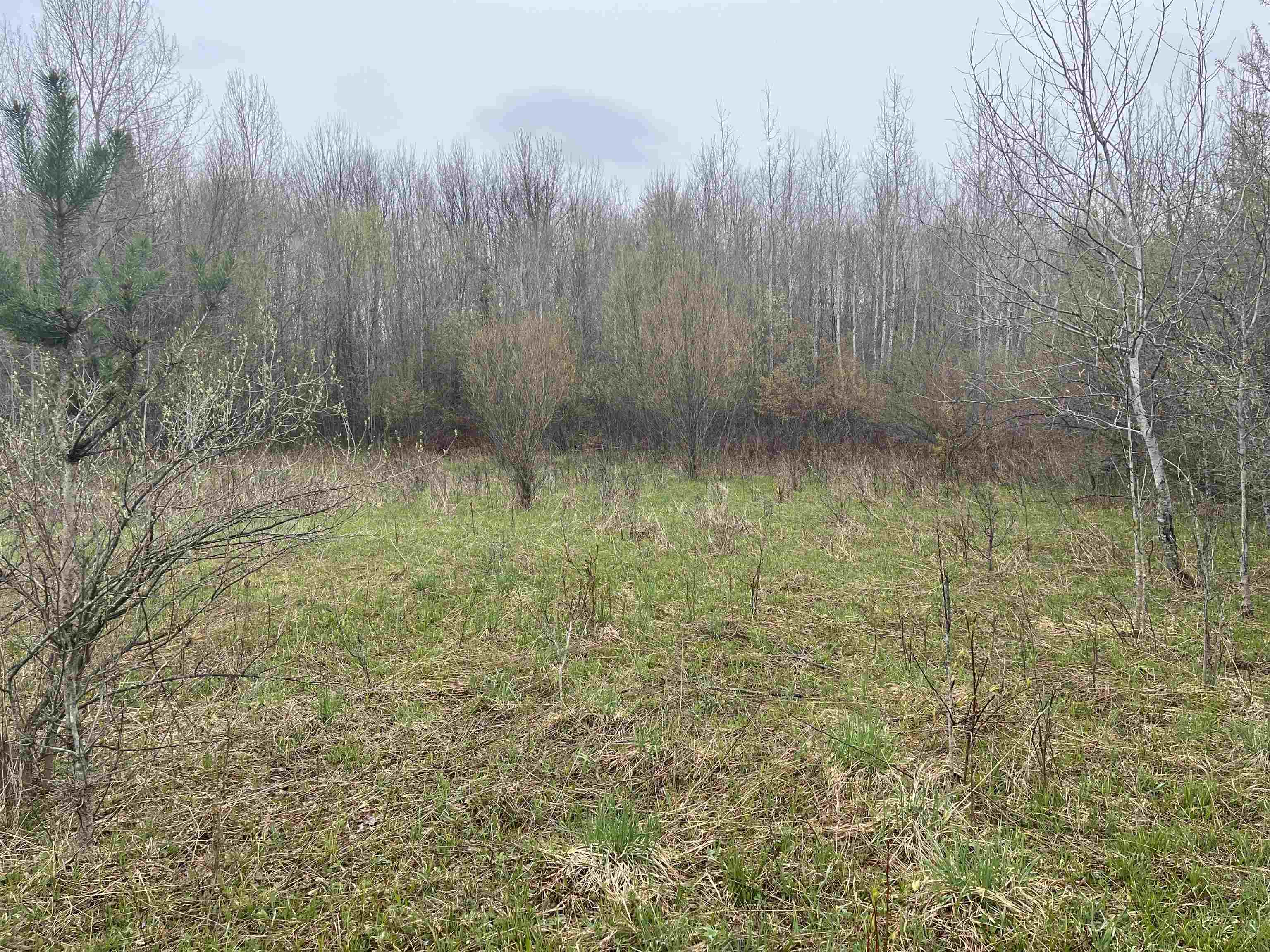 0 Wallen Road Thompsonville, MI 49683 - Photo 5 of 16 1947190-67dfec4e-21ba-4f7d-96f6-984efd297f94.JPG