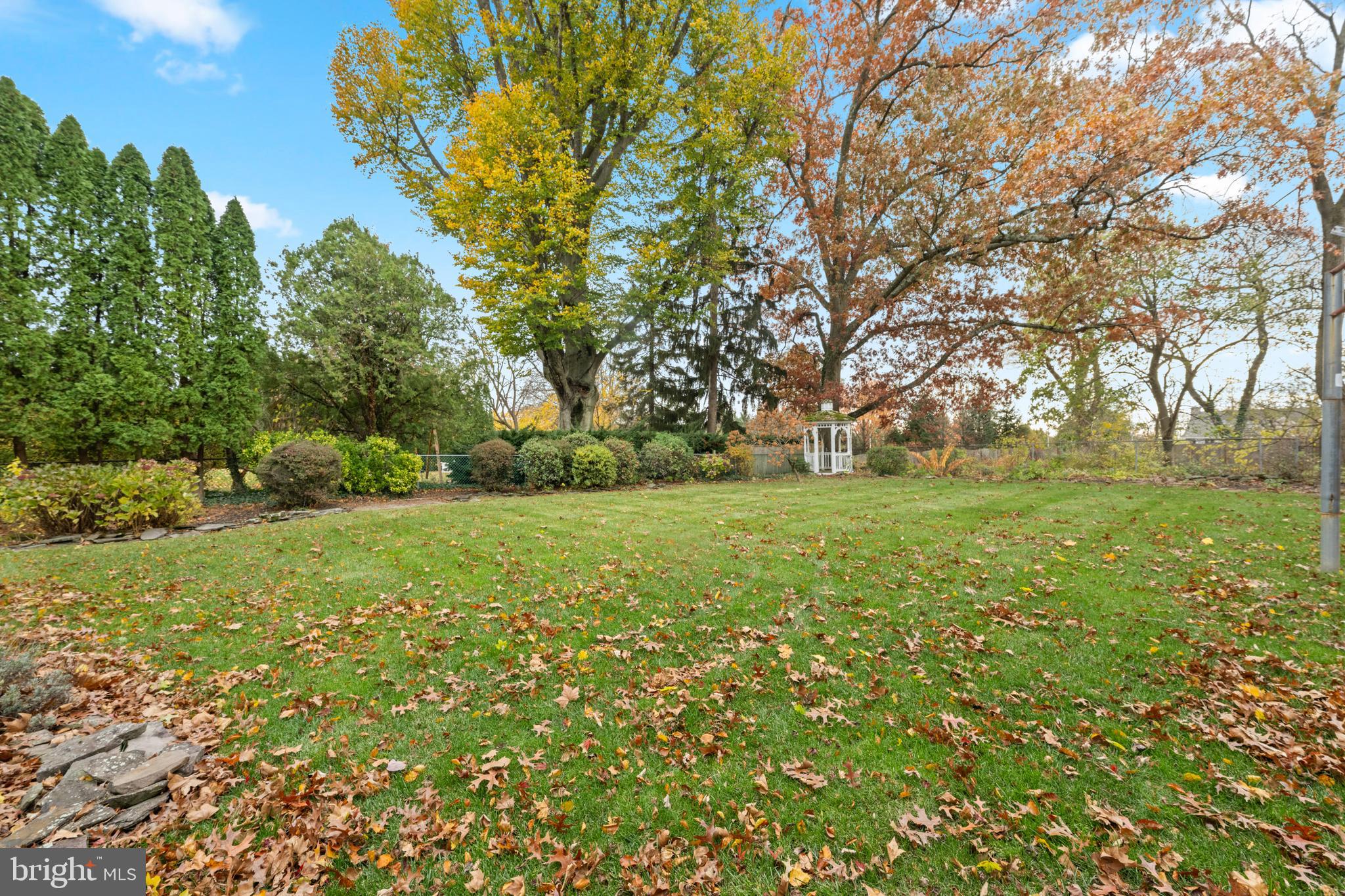328 Conestoga Road Wayne, PA 19087 - Photo 66 of 72 a view of yard with green space
