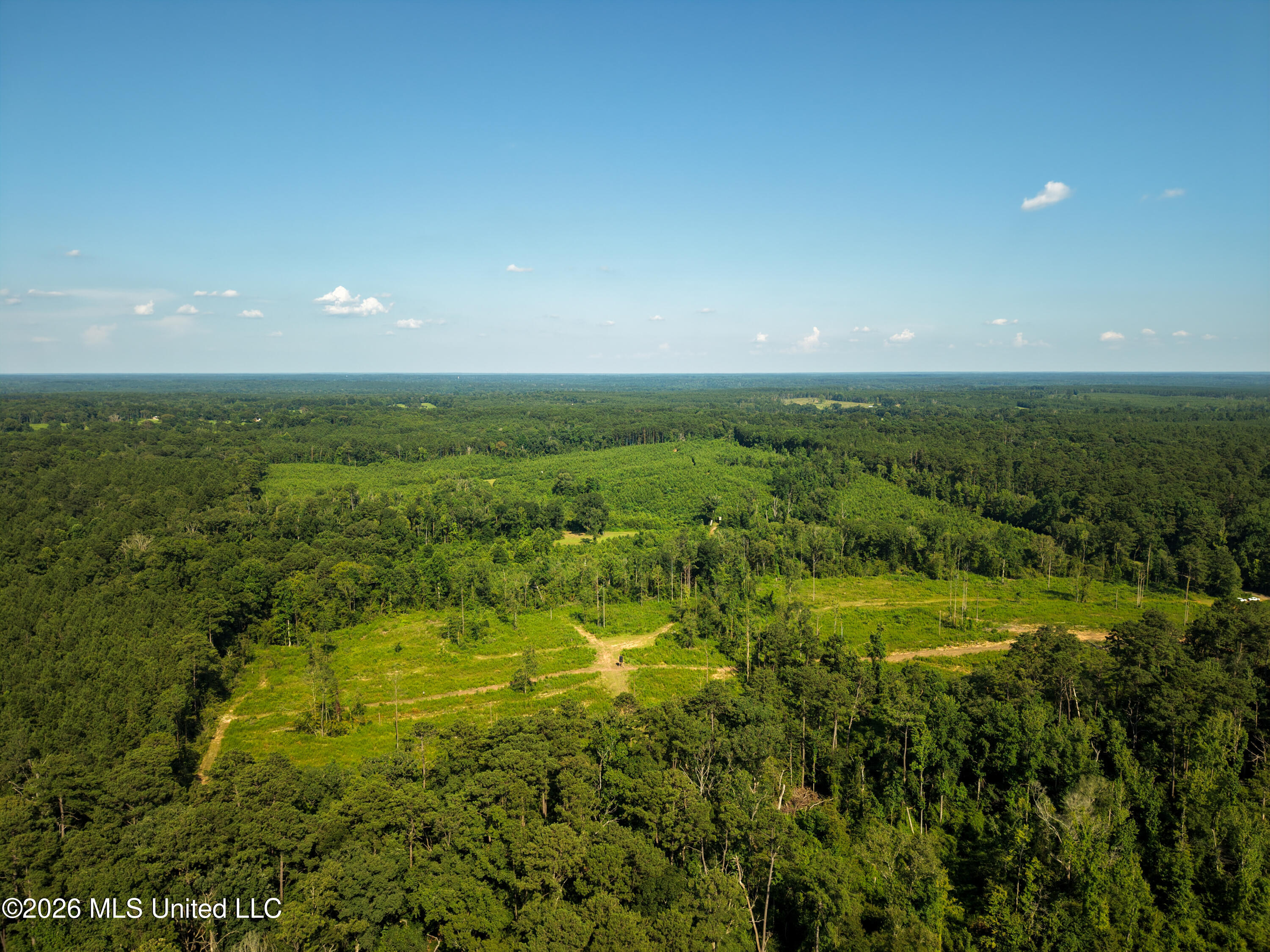 Lower Liberty Gloster Road Gloster, MS 39638 - Photo 8 of 26 103 Acres wide 7