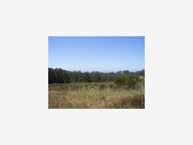 280 Paradise Road Salinas, CA 93907 - Photo 1 of 1 Gallery Image 1