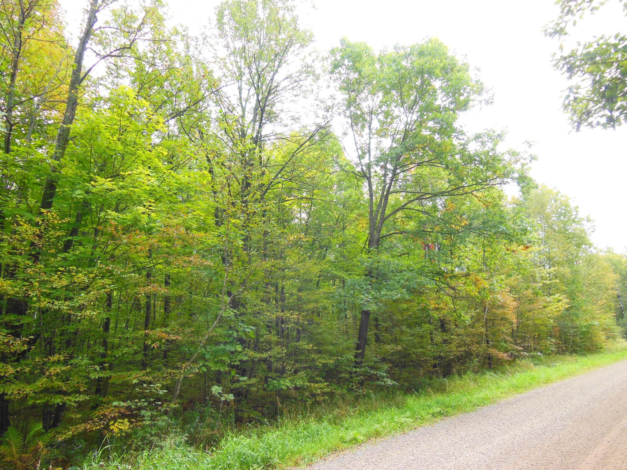 0 Godfrey Road Ladysmith, WI 54848 - Photo 1 of 1