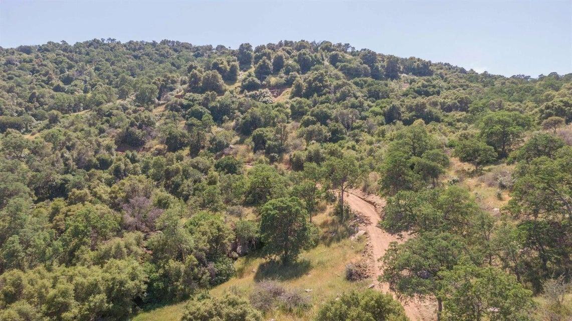 0 Ruth Hill Road Squaw Valley, CA 93675 - Photo 11 of 31