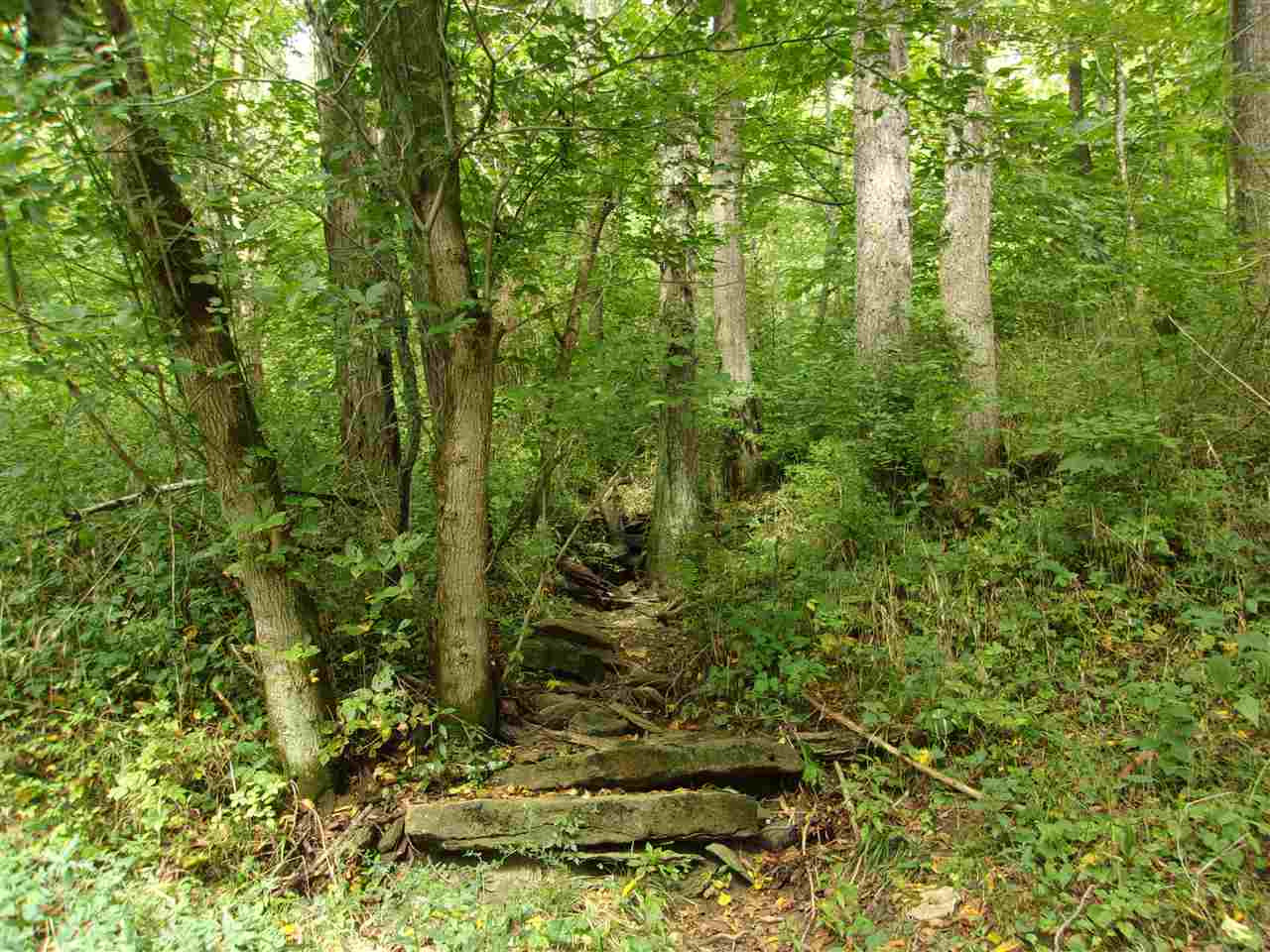 30-acres Dover Road Augusta, KY 41002 - Photo 50 of 50 Gallery Image 50