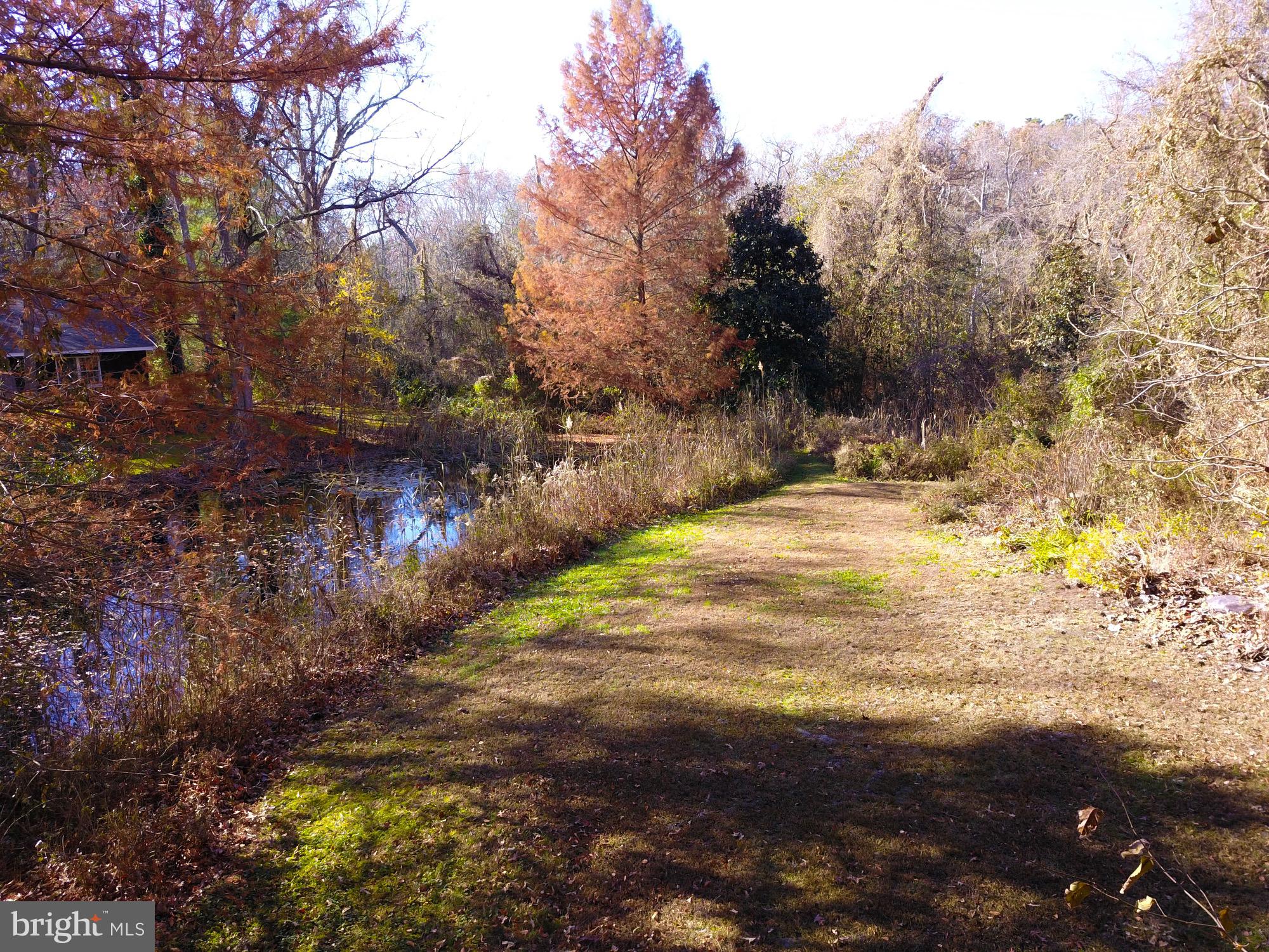 215 Cobbs Mill Road Bridgeton, NJ 08302 - Photo 27 of 36 Gallery Image 27