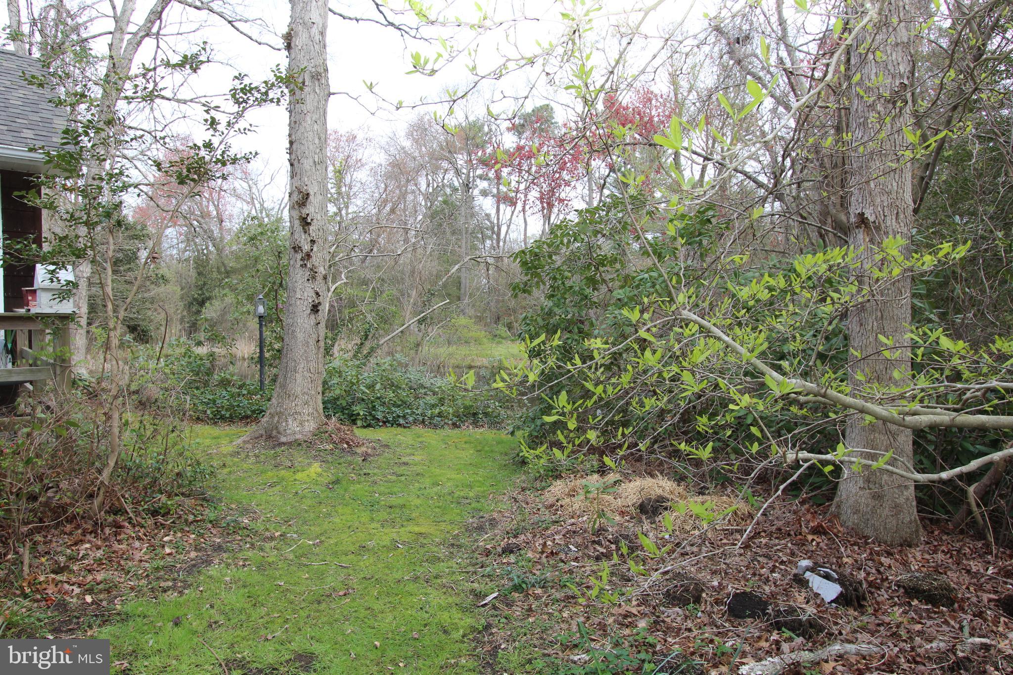 215 Cobbs Mill Road Bridgeton, NJ 08302 - Photo 32 of 36 Gallery Image 32