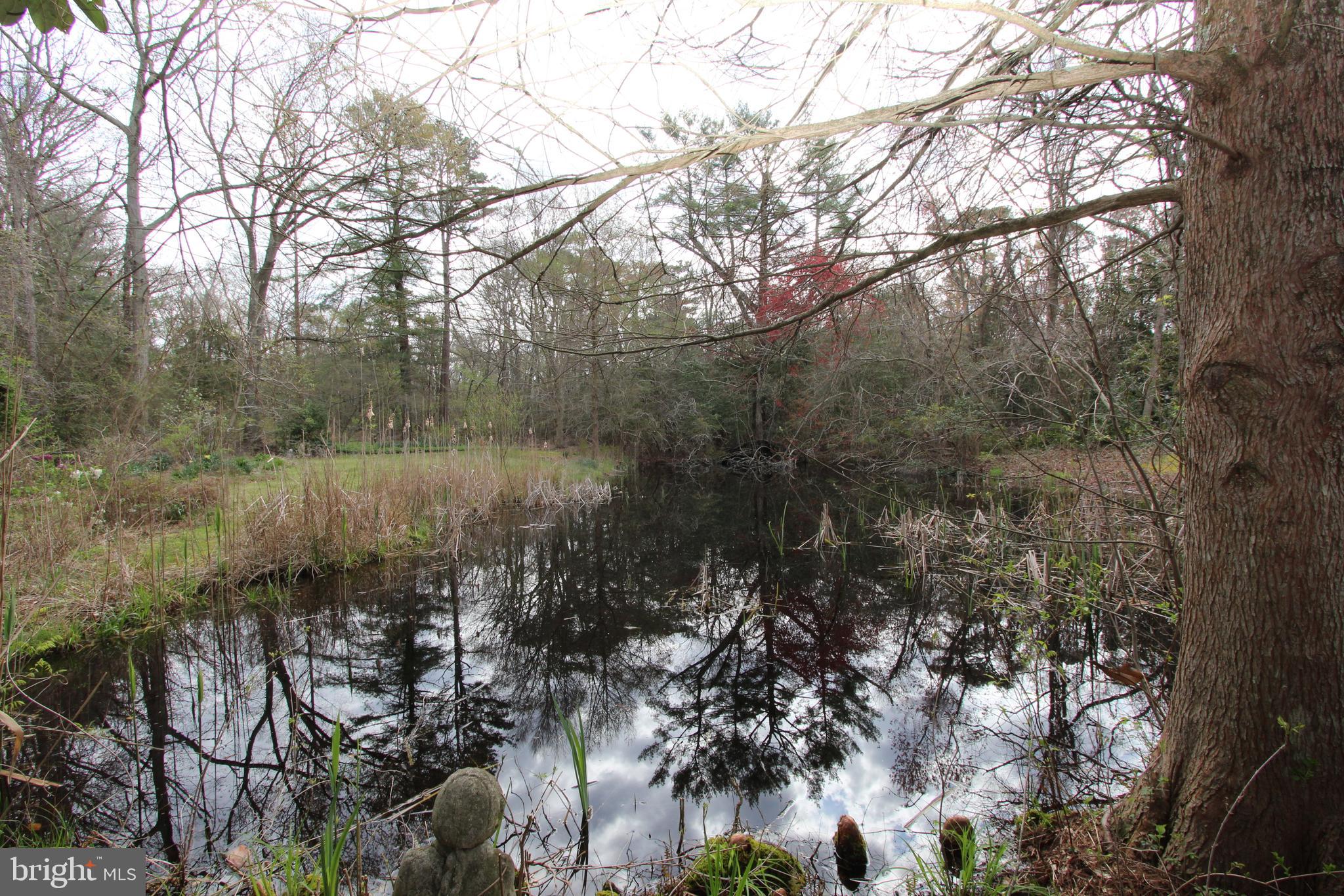 215 Cobbs Mill Road Bridgeton, NJ 08302 - Photo 33 of 36 Gallery Image 33