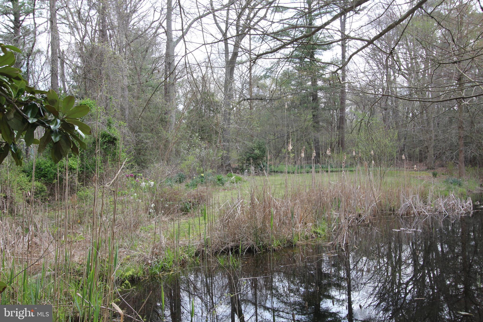 215 Cobbs Mill Road Bridgeton, NJ 08302 - Photo 35 of 36 Gallery Image 35