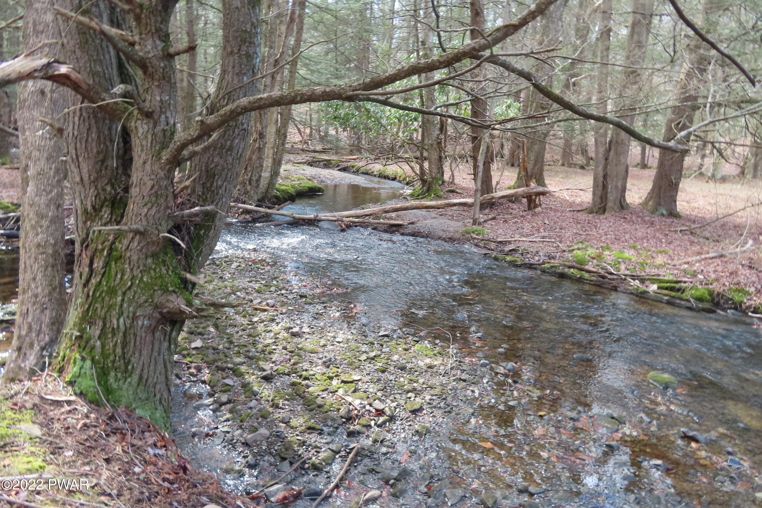 Lot 201 Sawmill Road Greentown, PA 18426 - Photo 1 of 15 IMG_0286