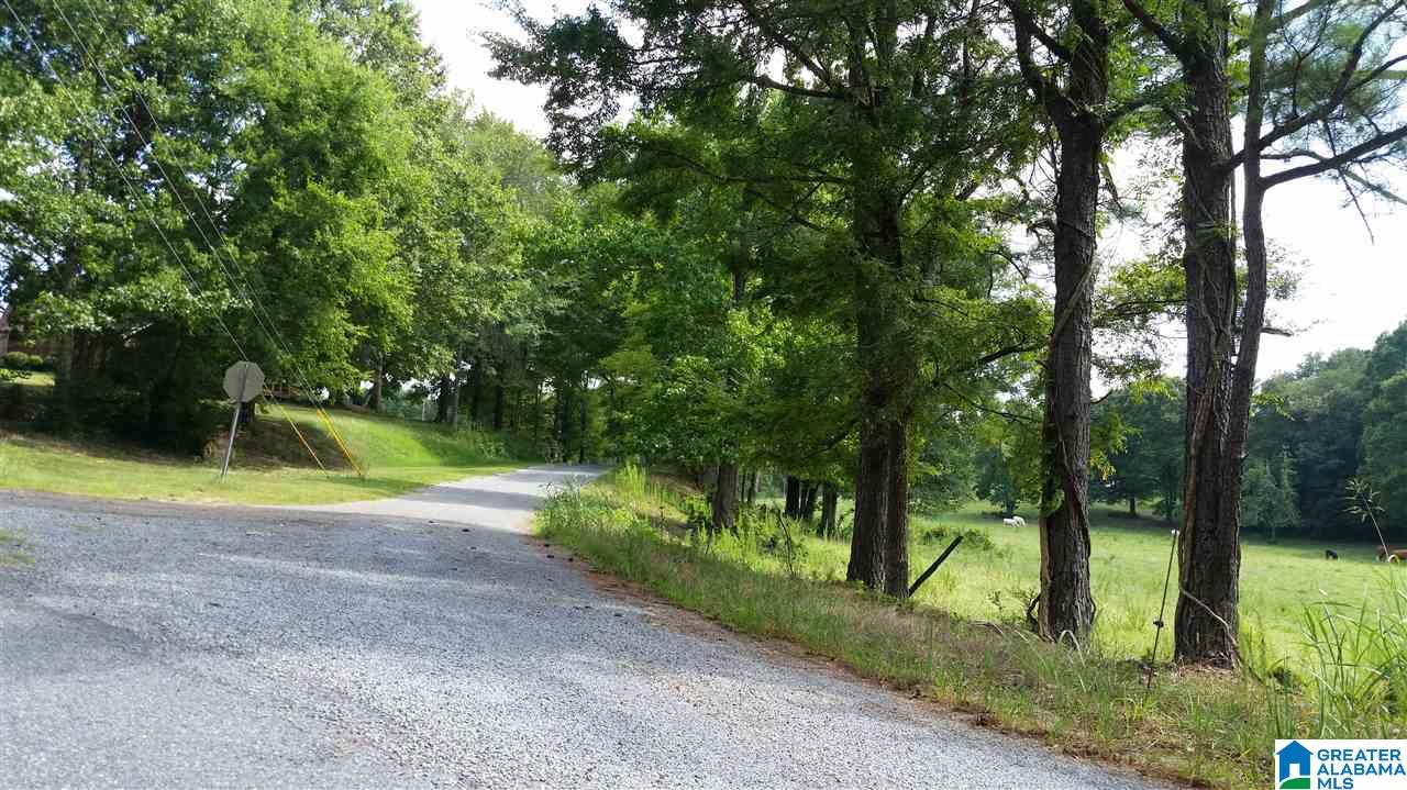 1885 Brooks Lake Road Lincoln, AL 35096 - Photo 21 of 30