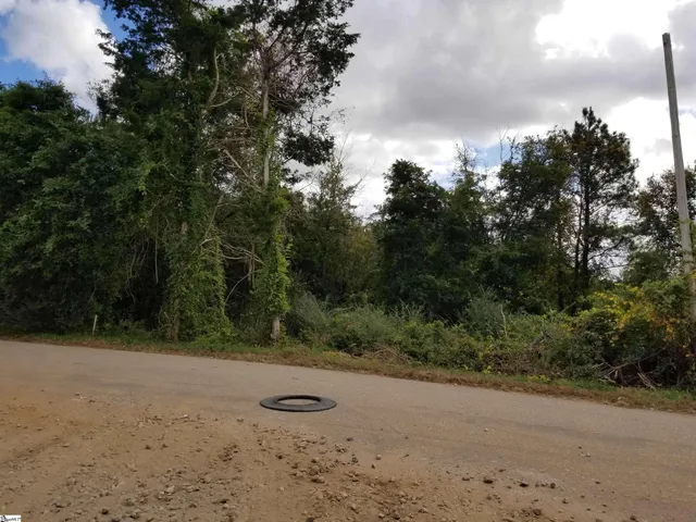 $346,000 | Leonard Road, Duncan, SC 29334