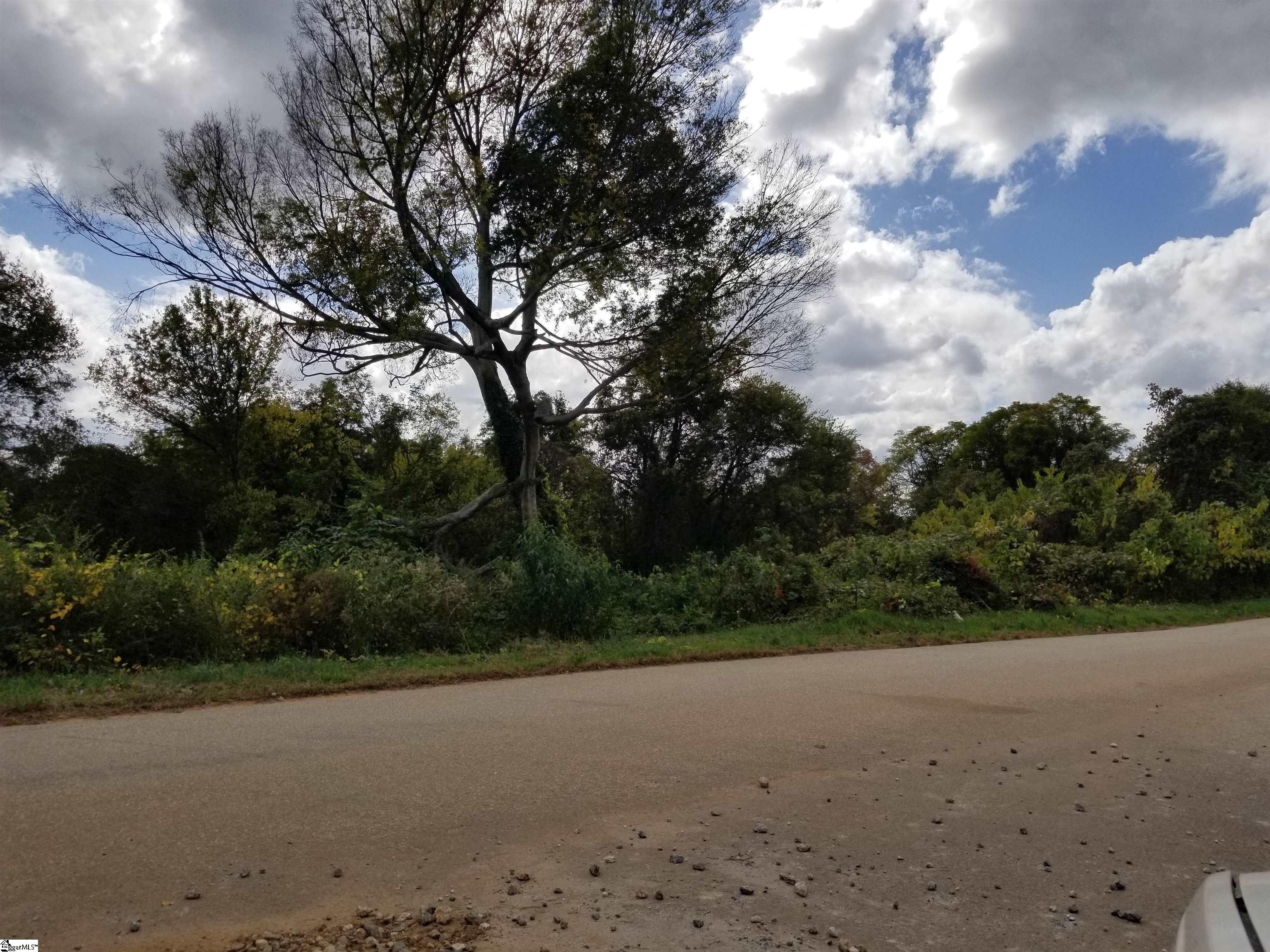 Leonard Road Duncan, SC 29334 - Photo 2 of 3