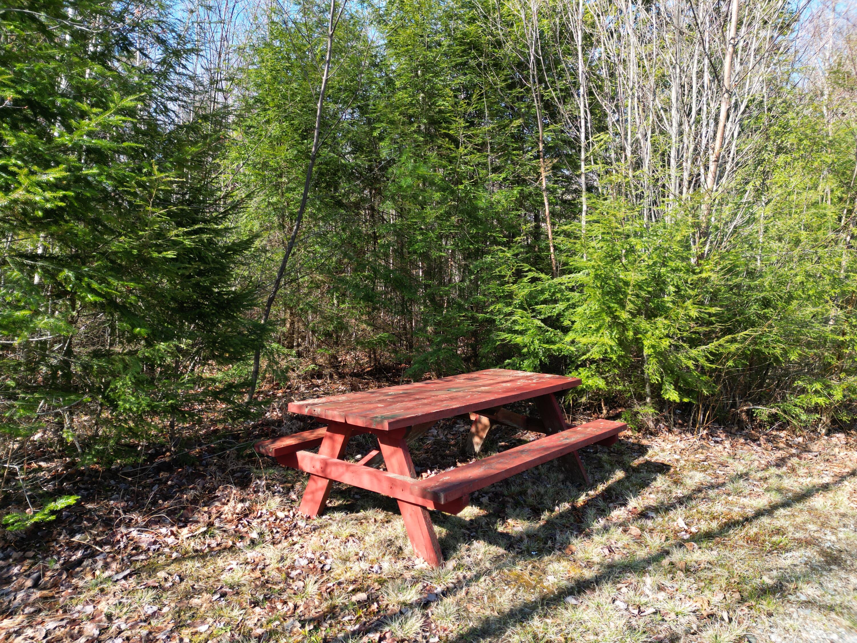 Lot 18-1 Hale Farm Road Lee, ME 04455 - Photo 16 of 19 DJI_0217