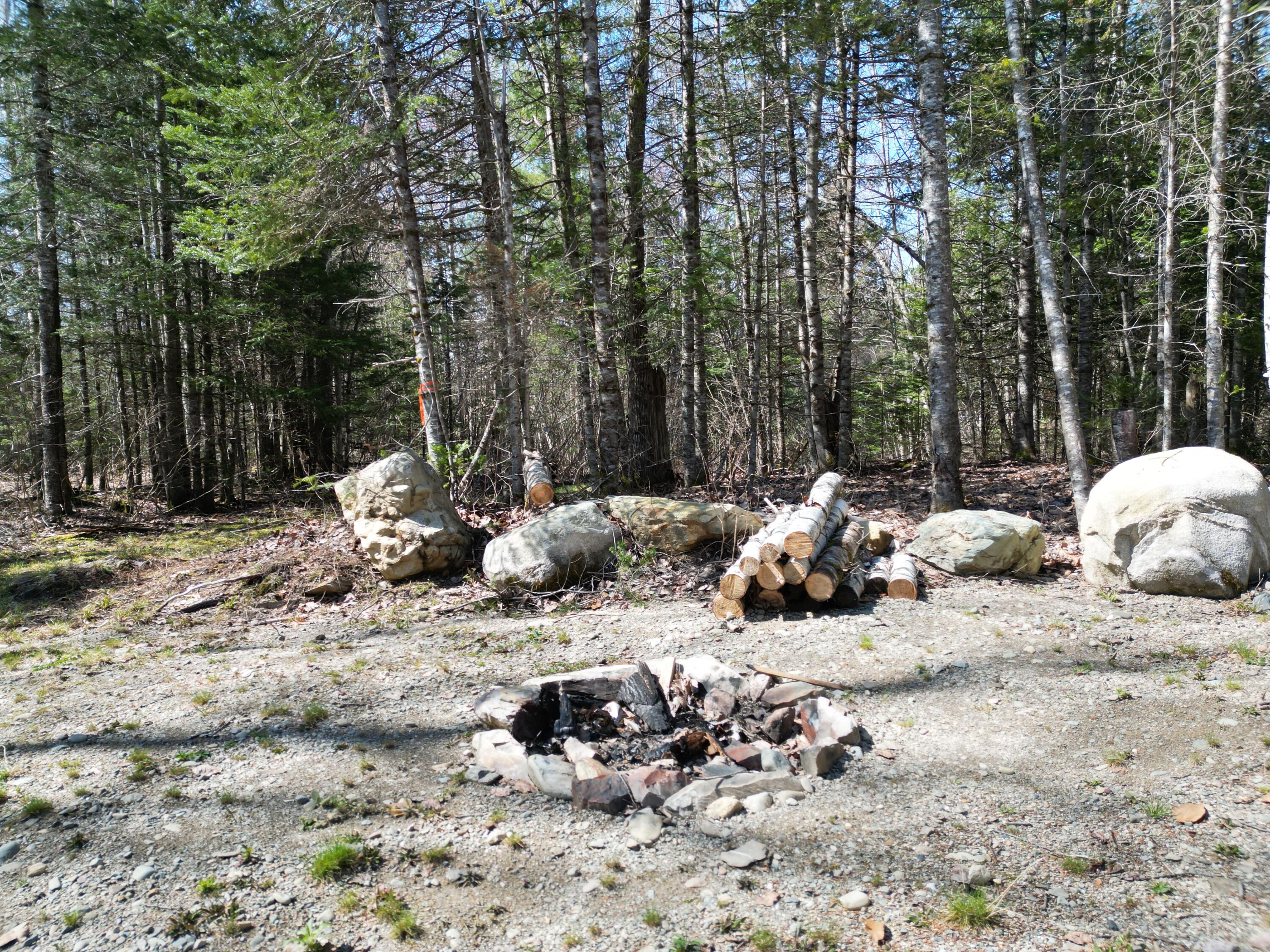 Lot 18-1 Hale Farm Road Lee, ME 04455 - Photo 2 of 19 DJI_0222