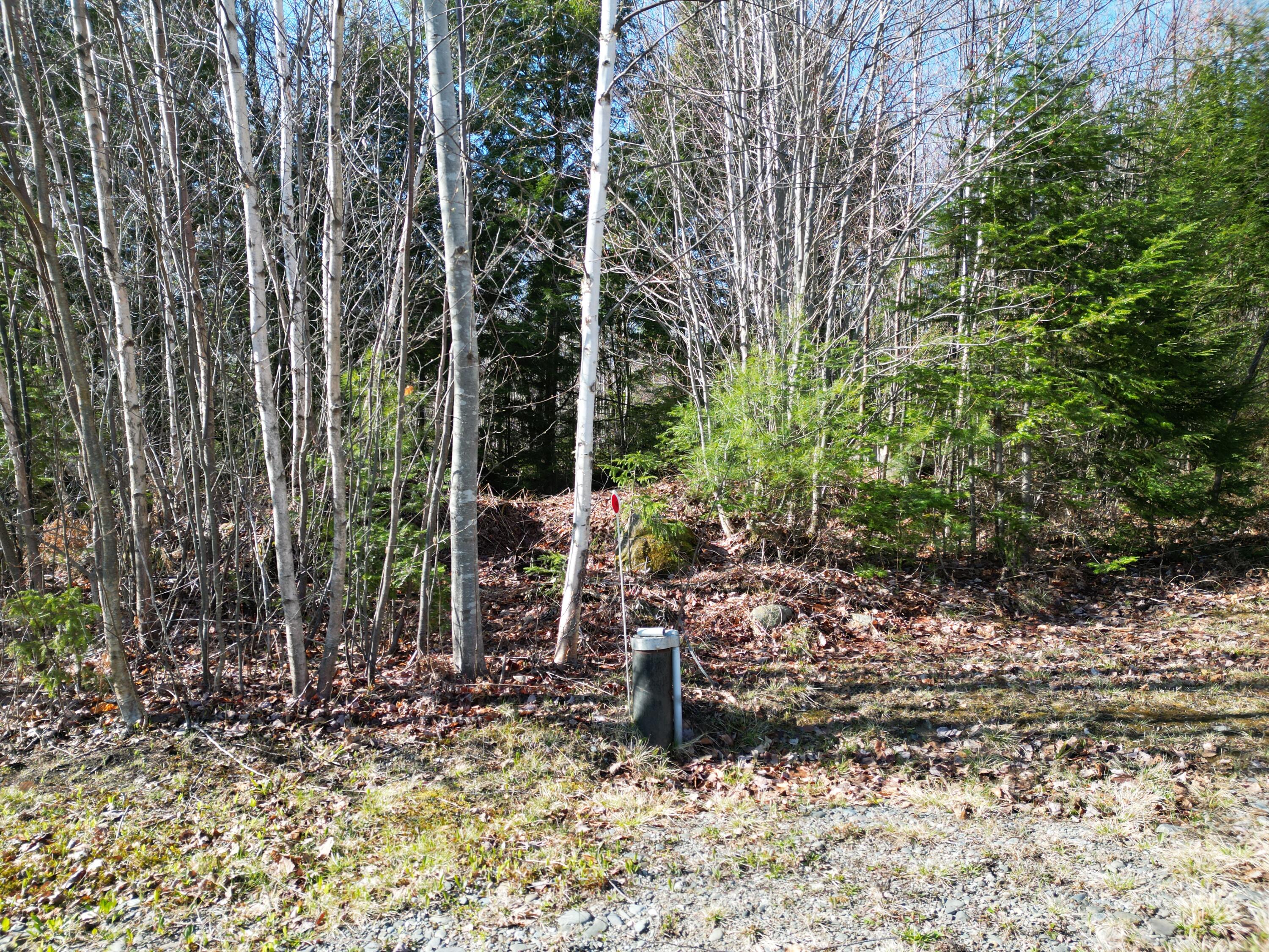Lot 18-1 Hale Farm Road Lee, ME 04455 - Photo 4 of 19 DJI_0216