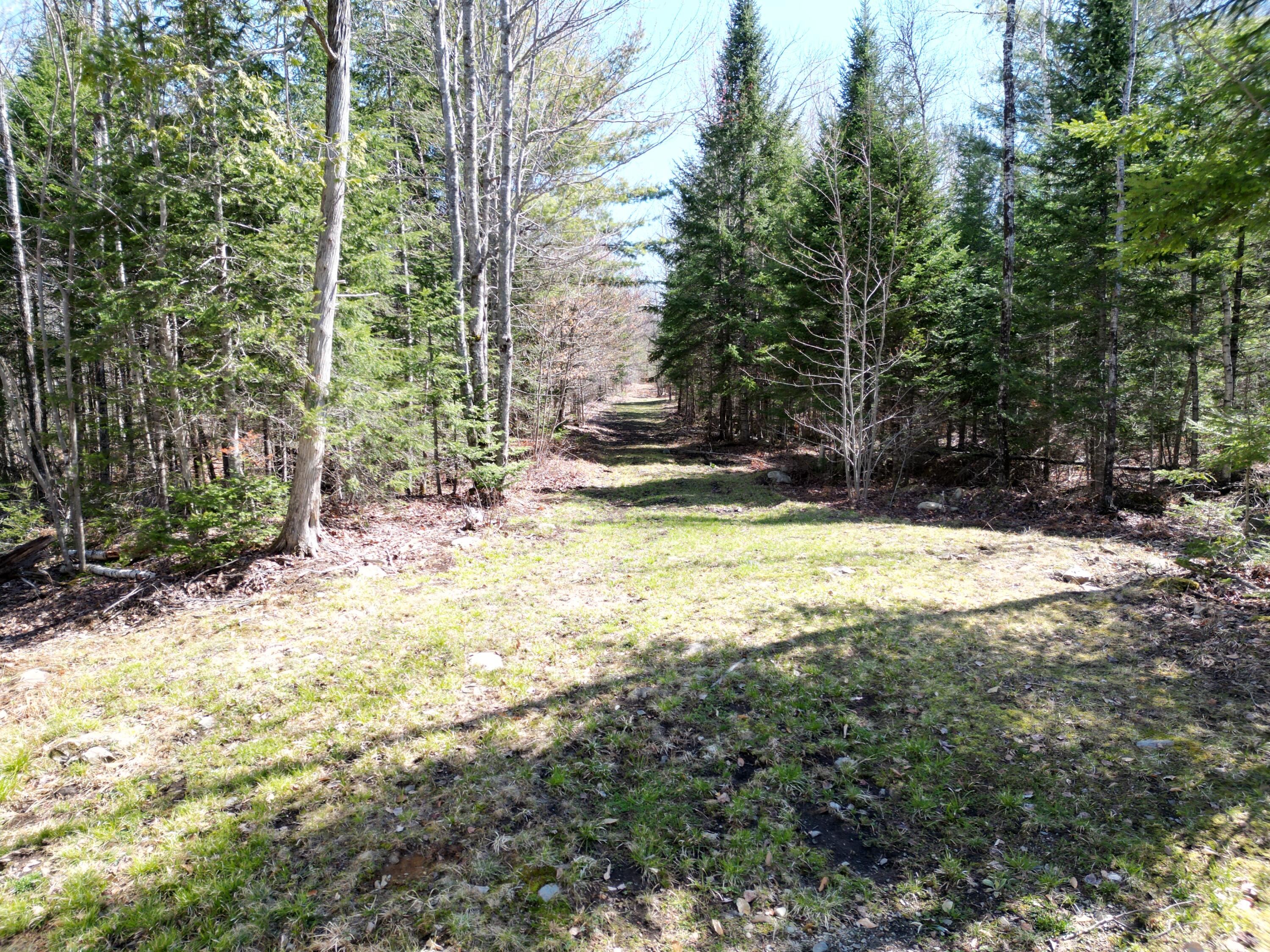 Lot 18-1 Hale Farm Road Lee, ME 04455 - Photo 8 of 19 DJI_0224