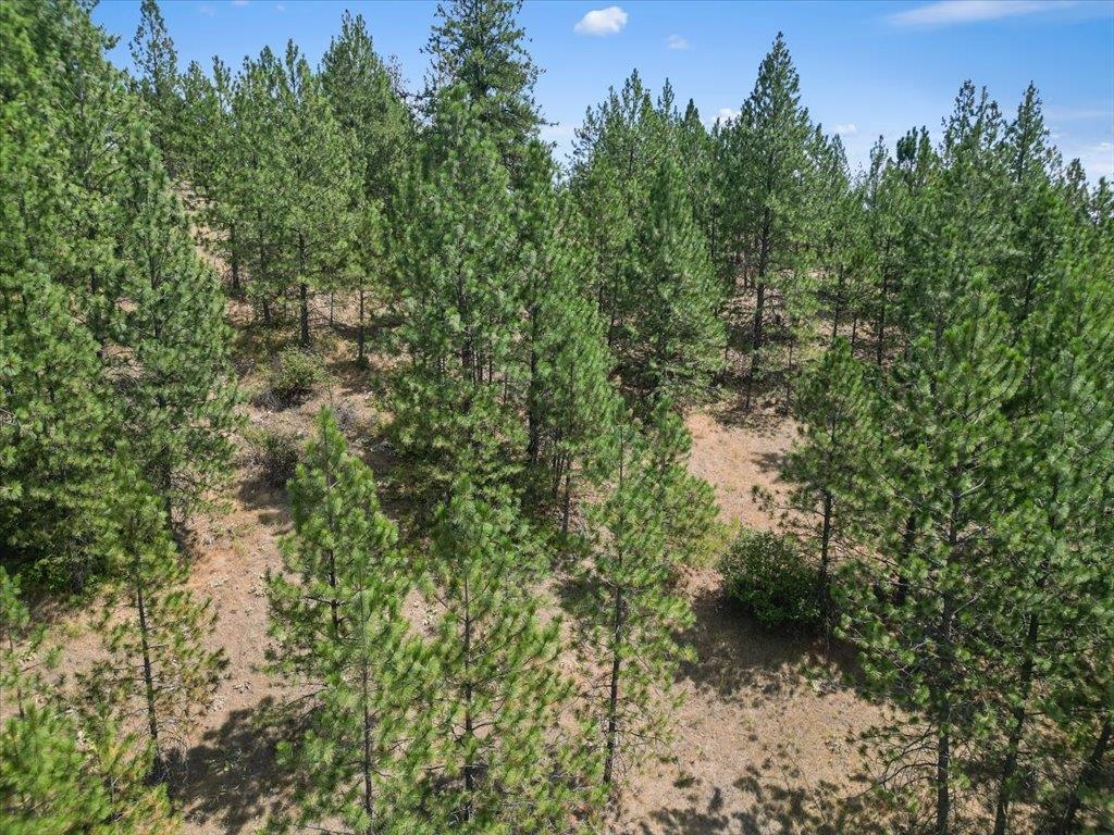 Nka Weaver Road, Unit LOT 2 OF LOT 3 Deer Park, WA 99006 - Photo 11 of 12