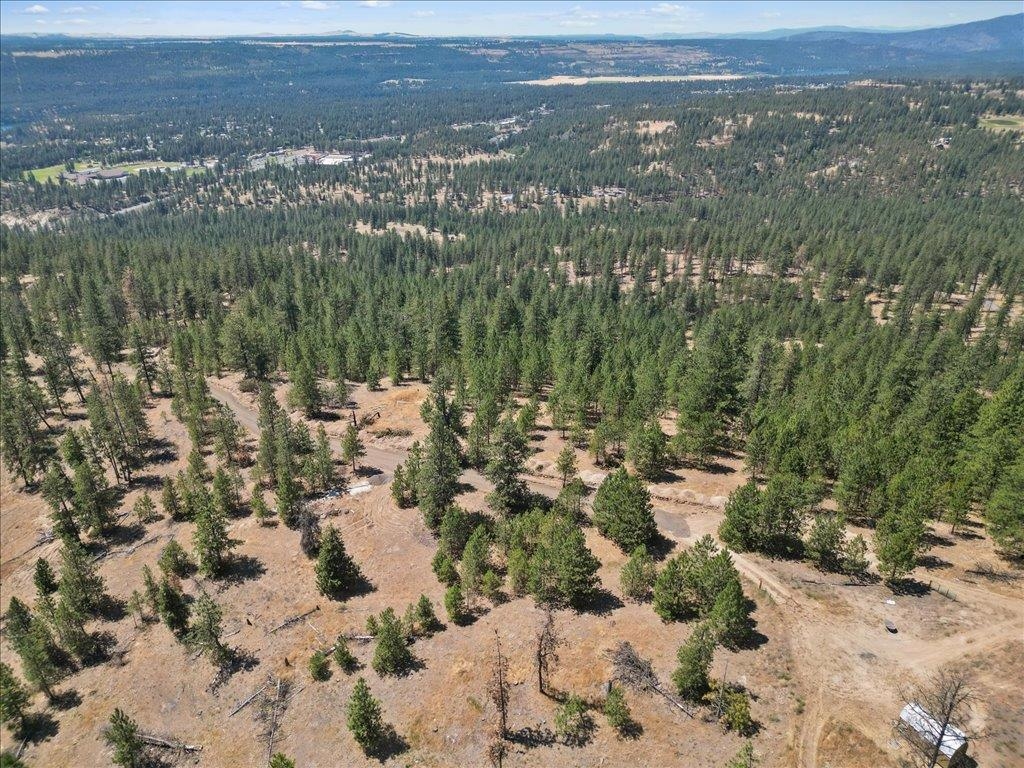 Nka Weaver Road, Unit LOT 2 OF LOT 3 Deer Park, WA 99006 - Photo 3 of 12