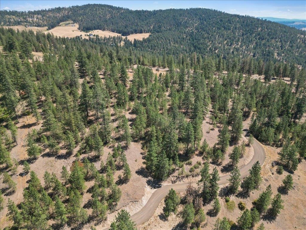 Nka Weaver Road, Unit LOT 2 OF LOT 3 Deer Park, WA 99006 - Photo 4 of 12