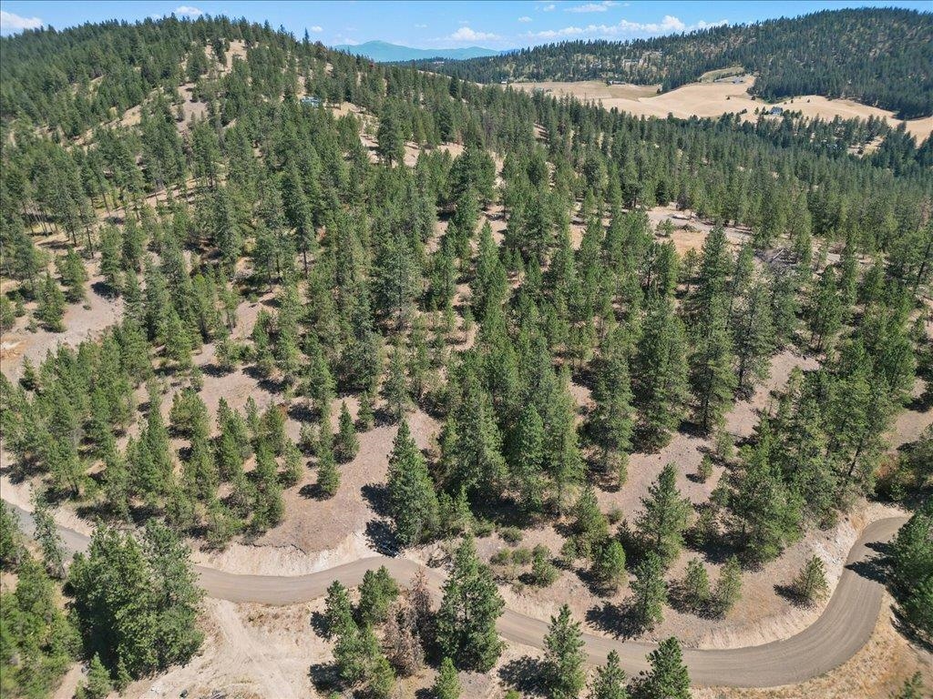 Nka Weaver Road, Unit LOT 2 OF LOT 3 Deer Park, WA 99006 - Photo 5 of 12