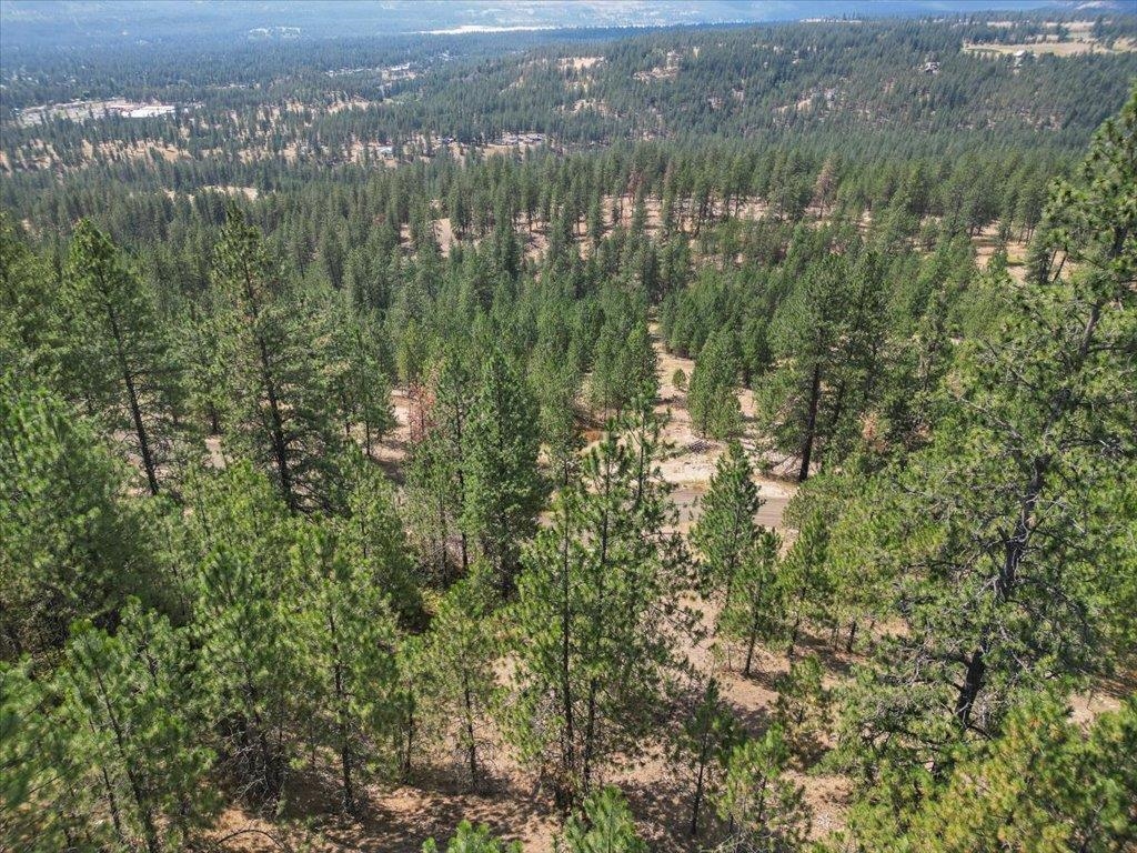Nka Weaver Road, Unit LOT 2 OF LOT 3 Deer Park, WA 99006 - Photo 6 of 12