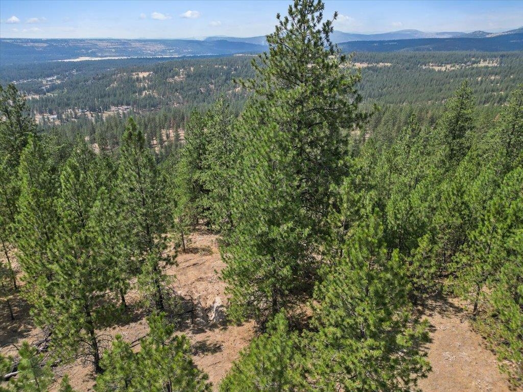 Nka Weaver Road, Unit LOT 2 OF LOT 3 Deer Park, WA 99006 - Photo 7 of 12